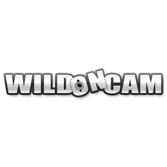 WildOnCam